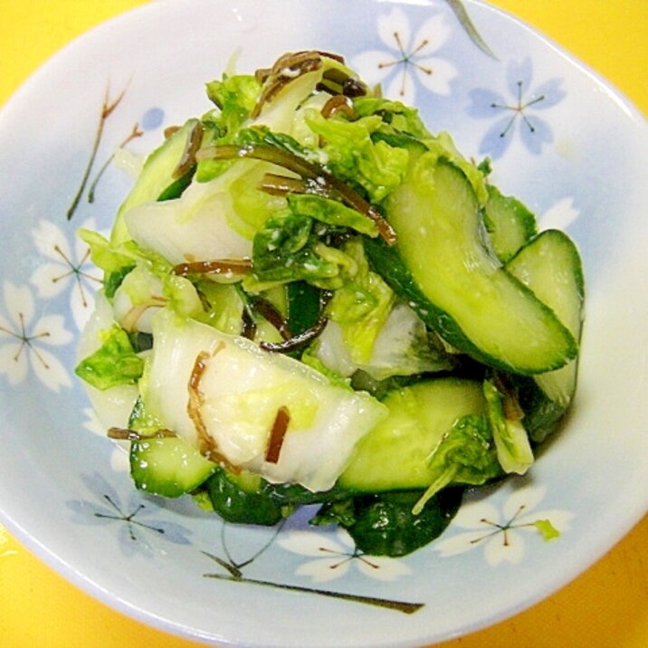 白菜ときゅうり塩昆布の塩麹漬け レシピ 作り方 By Mint74 楽天レシピ 白菜ときゅうり塩昆布の塩麹漬け レシピ 作り方 By Mint74 楽天レシピ